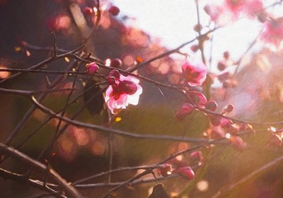 Prima luce di primavera, 2018 da Helen White